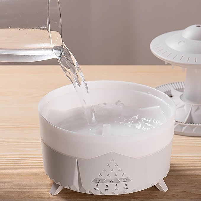 Rain Cloud Humidifier