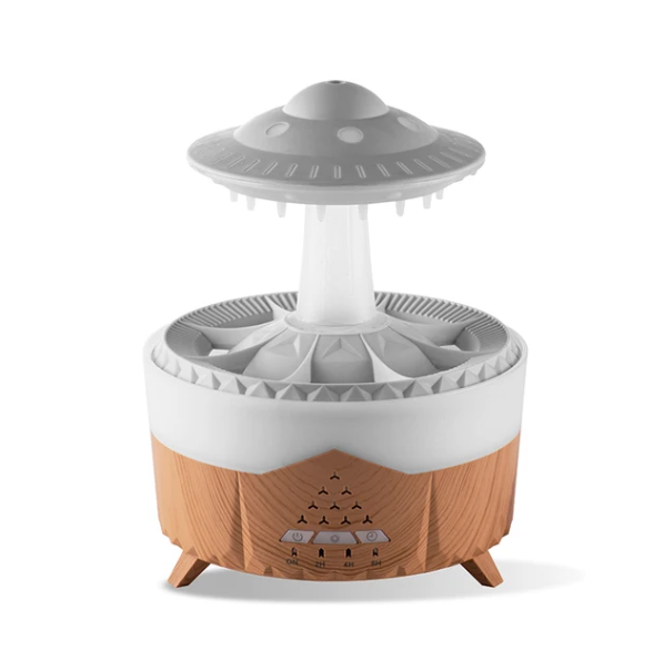 Rain Cloud Humidifier